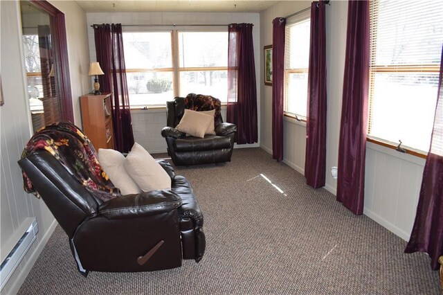 903 Wilson Ave, Rice Lake, WI 54868 - living area featuring a baseboard radiator, carpet flooring, and baseboards