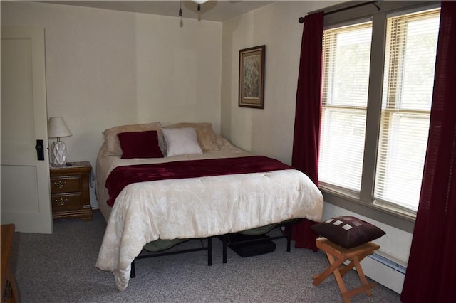 903 Wilson Ave, Rice Lake, WI 54868 - carpeted bedroom featuring multiple windows