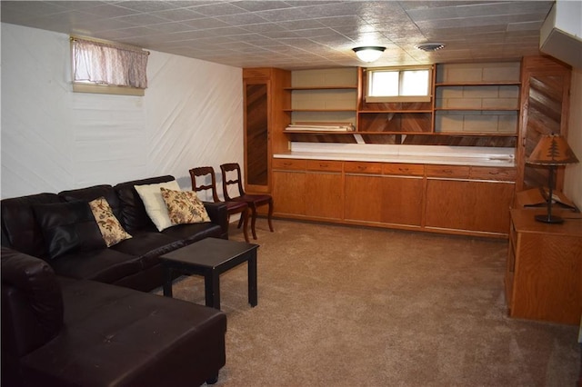 903 Wilson Ave, Rice Lake, WI 54868 - bar with wooden walls and carpet