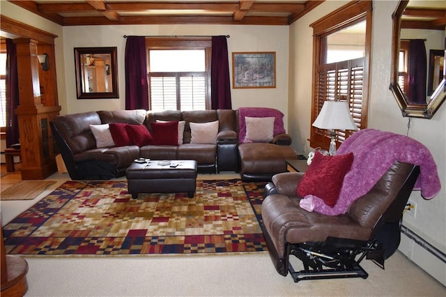 903 Wilson Ave, Rice Lake, WI 54868 - living room with a wealth of natural light, beamed ceiling, and baseboard heating