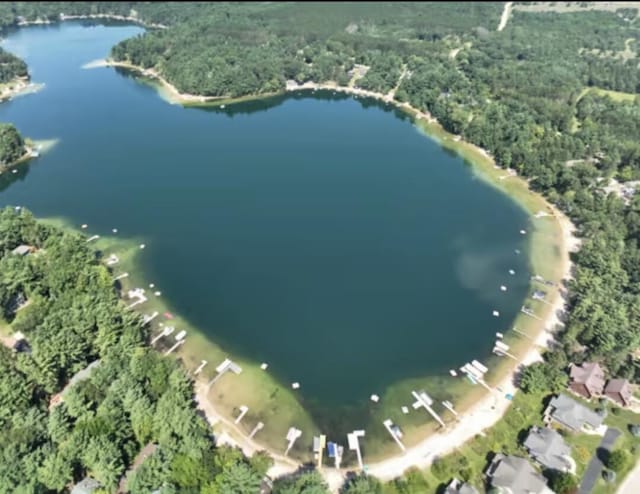 W4609 S Pearl Lake Rd, Redgranite, WI 54970 - view of property location with a forest and a large body of water