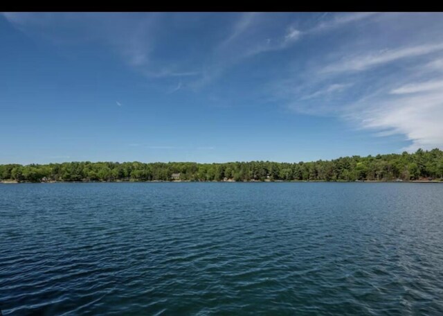 W4609 S Pearl Lake Rd, Redgranite, WI 54970 - water view featuring a forest