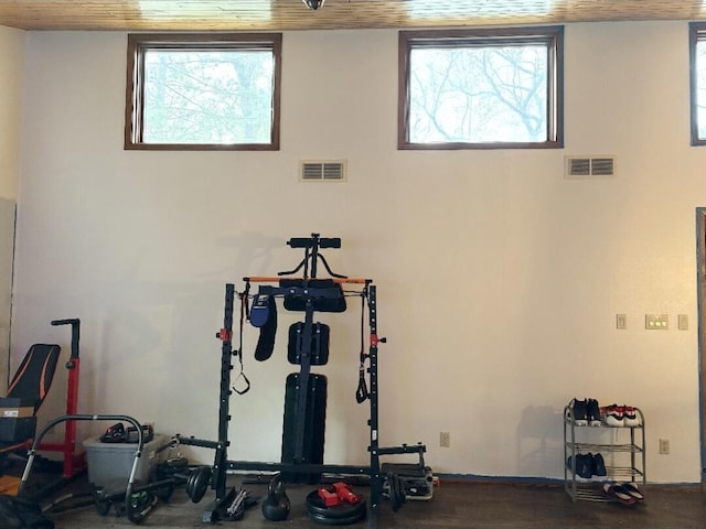 W4609 S Pearl Lake Rd, Redgranite, WI 54970 - exercise room with plenty of natural light