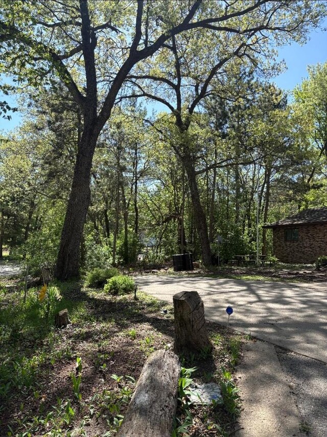 W4609 S Pearl Lake Rd, Redgranite, WI 54970 - view of street