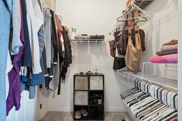 spacious closet featuring carpet