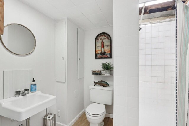 bathroom featuring baseboards, a sink, wood finished floors, and toilet