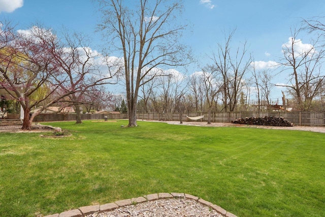 view of yard with a fenced backyard