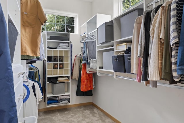 walk in closet with carpet