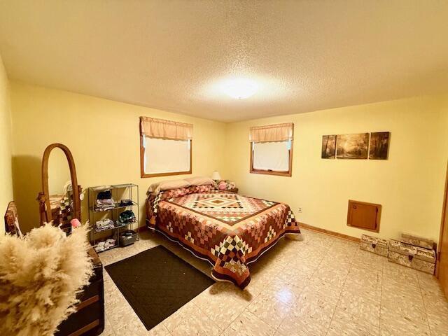 15497 Meiners Rd, Caledonia, MN 55921 - bedroom featuring a textured ceiling and baseboards