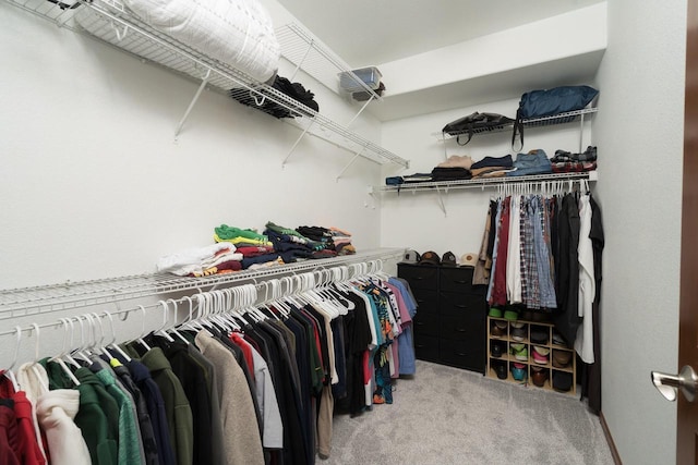 spacious closet featuring light colored carpet