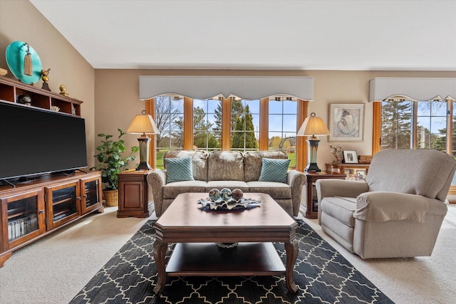 living area with carpet