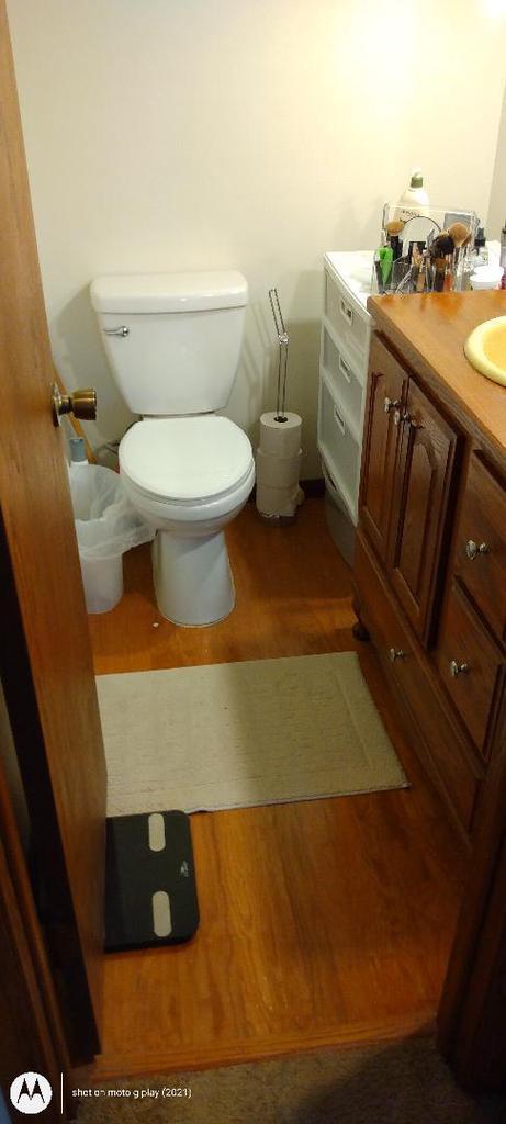 bathroom with vanity, wood finished floors, and toilet