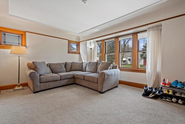 living area with carpet flooring and baseboards