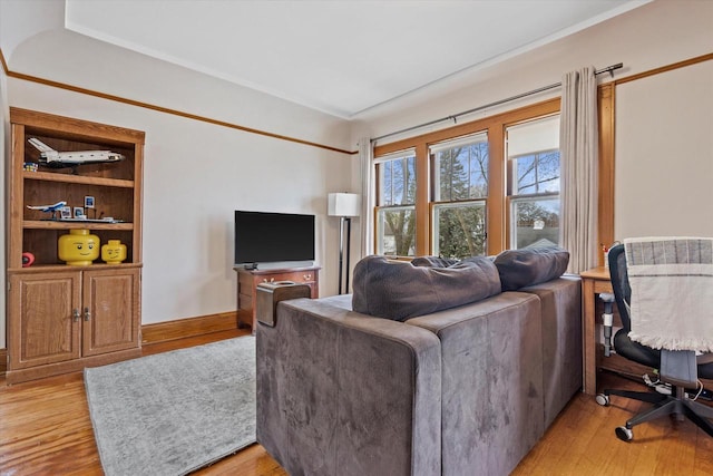 living room with light wood-type flooring