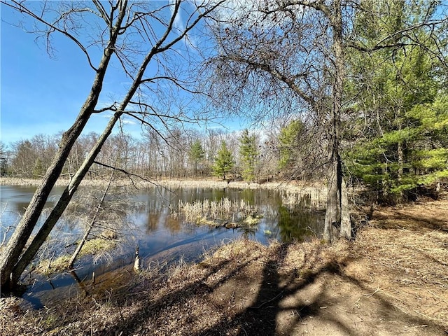 LOT16 1.03/-ACRES 295th St, Holcombe, WI 54745