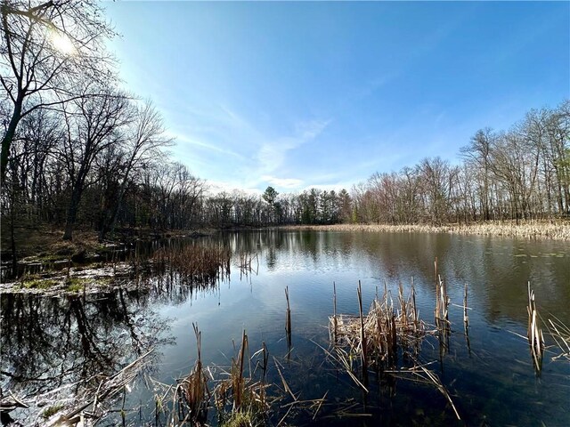 LOT16 1.03/-ACRES 295th St, Holcombe, WI 54745