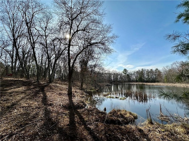 LOT16 1.03/-ACRES 295th St, Holcombe, WI 54745