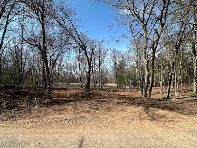 LOT16 1.03/-ACRES 295th St, Holcombe, WI 54745