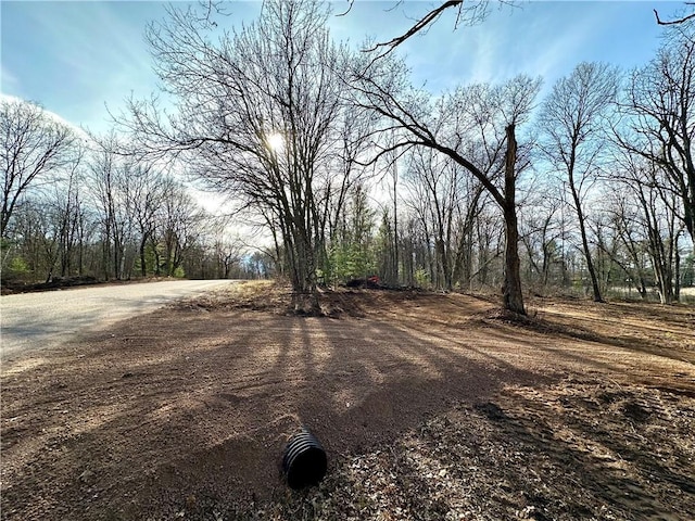 LOT16 1.03/-ACRES 295th St, Holcombe, WI 54745