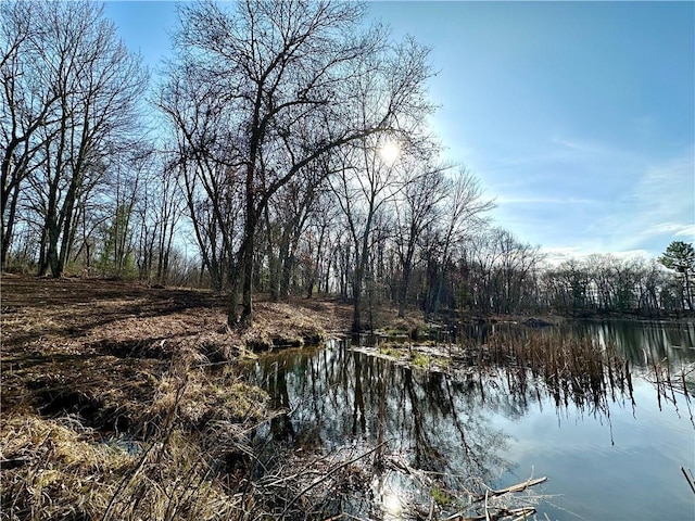 LOT16 1.03/-ACRES 295th St, Holcombe, WI 54745