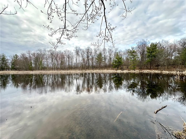 LOT16 1.03/-ACRES 295th St, Holcombe, WI 54745