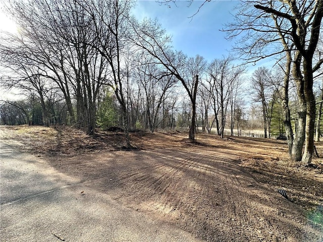 LOT16 1.03/-ACRES 295th St, Holcombe, WI 54745