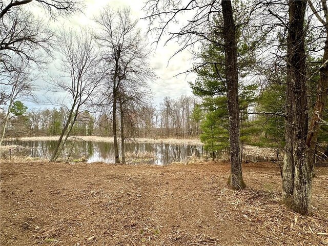 LOT16 1.03/-ACRES 295th St, Holcombe, WI 54745