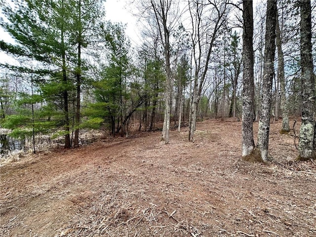 LOT16 1.03/-ACRES 295th St, Holcombe, WI 54745