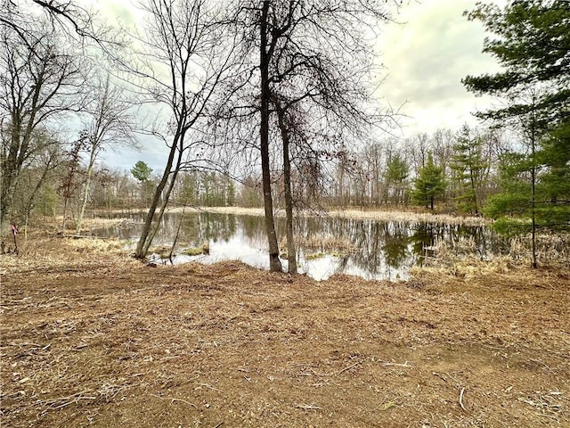LOT16 1.03/-ACRES 295th St, Holcombe, WI 54745