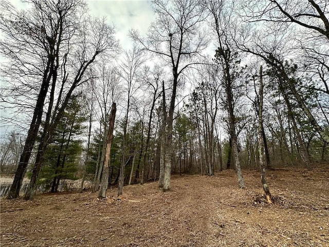 LOT16 1.03/-ACRES 295th St, Holcombe, WI 54745