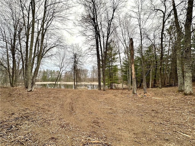 LOT16 1.03/-ACRES 295th St, Holcombe, WI 54745