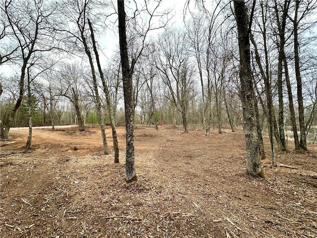 LOT16 1.03/-ACRES 295th St, Holcombe, WI 54745