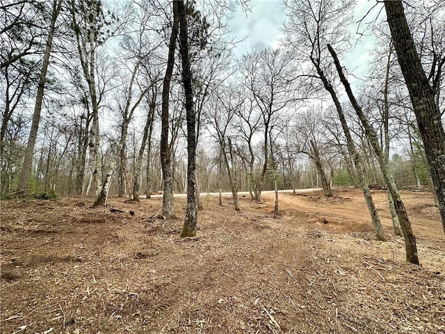 LOT16 1.03/-ACRES 295th St, Holcombe, WI 54745