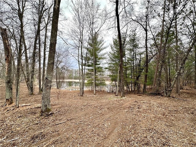 LOT16 1.03/-ACRES 295th St, Holcombe, WI 54745