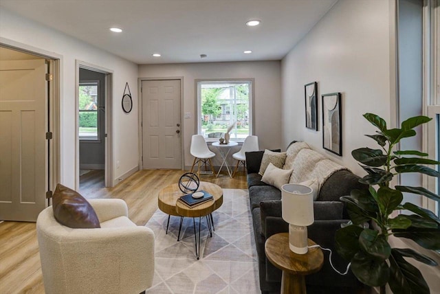 14 Wirth Ct, Madison, WI 53704 - living room featuring light wood-style flooring and recessed lighting