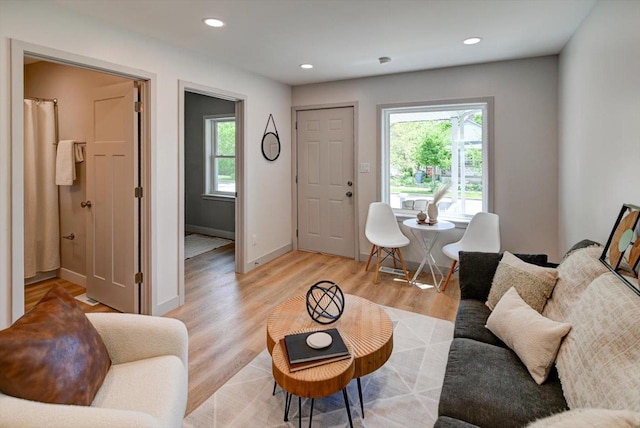 14 Wirth Ct, Madison, WI 53704 - living area with plenty of natural light, light wood-style flooring, recessed lighting, and baseboards