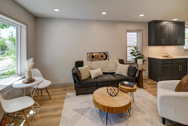14 Wirth Ct, Madison, WI 53704 - living area featuring plenty of natural light, light wood-type flooring, recessed lighting, and baseboards