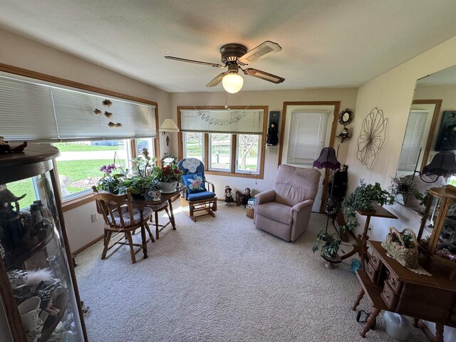 34103 Putnam St, Muscoda, WI 53573 - living area featuring baseboards, ceiling fan, and carpet flooring