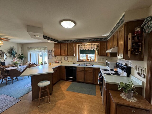34103 Putnam St, Muscoda, WI 53573 - kitchen featuring a peninsula, black dishwasher, under cabinet range hood, a sink, and range with electric cooktop