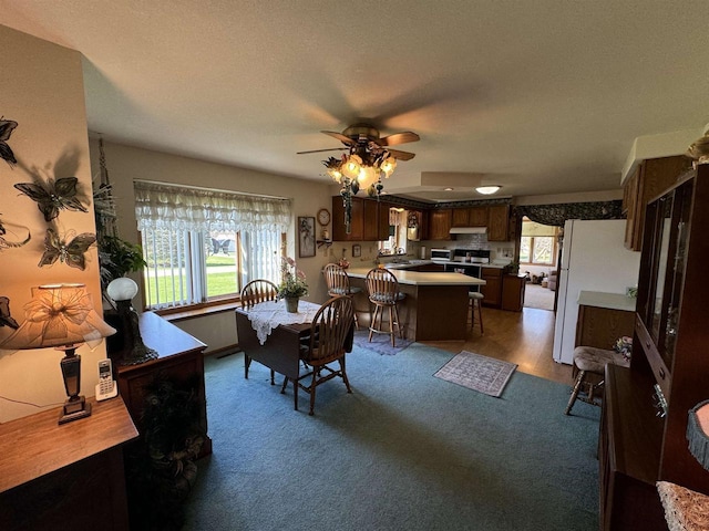 34103 Putnam St, Muscoda, WI 53573 - dining space with a ceiling fan and light carpet