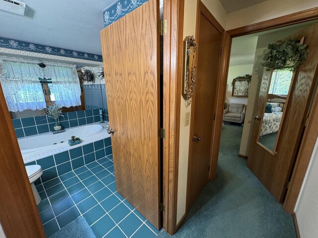 34103 Putnam St, Muscoda, WI 53573 - ensuite bathroom with ensuite bathroom, tiled bath, toilet, and visible vents