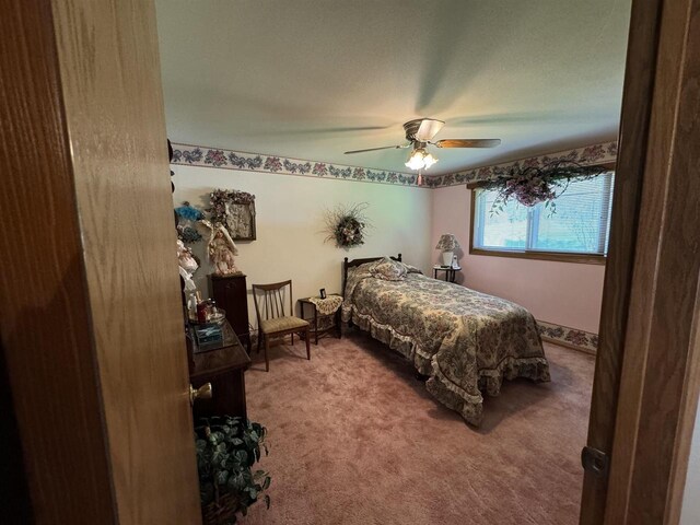 34103 Putnam St, Muscoda, WI 53573 - bedroom with a ceiling fan and carpet
