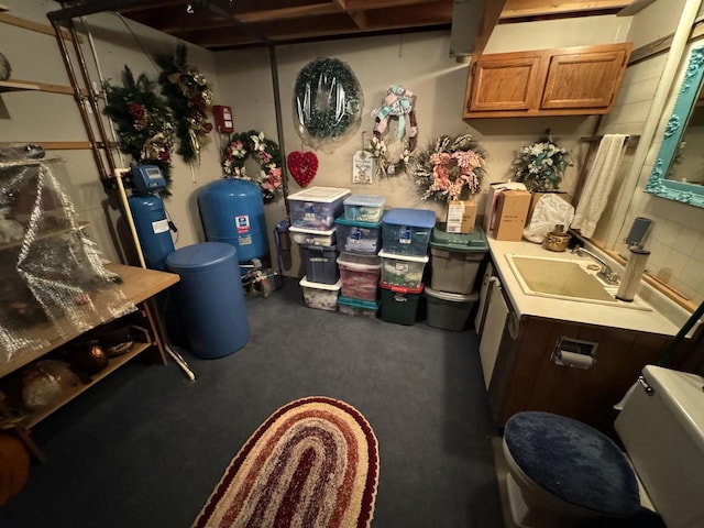 34103 Putnam St, Muscoda, WI 53573 - interior space featuring a sink