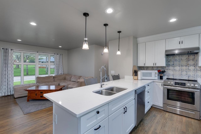 kitchen with under cabinet range hood, dark wood finished floors, a sink, open floor plan, and stainless steel appliances