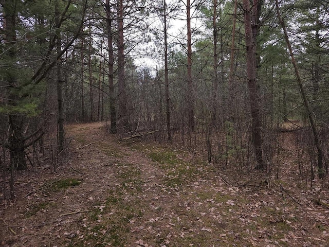 3653 County Road Q, Wisconsin Rapids, WI 54495 - view of local wilderness featuring a wooded view