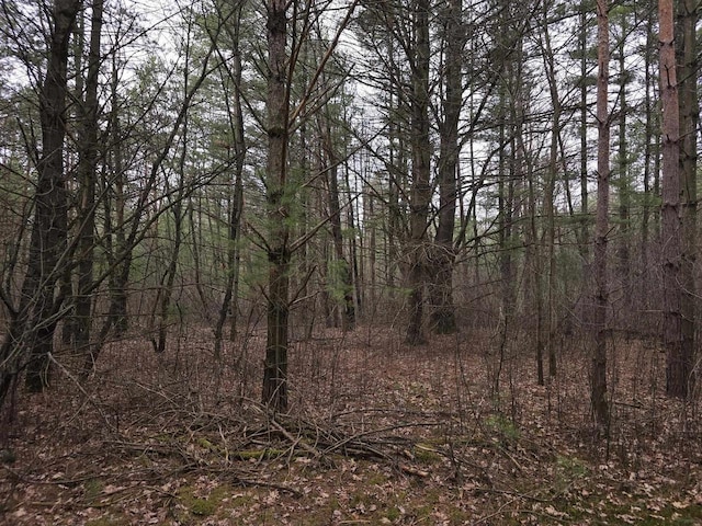 3653 County Road Q, Wisconsin Rapids, WI 54495 - view of landscape featuring a view of trees