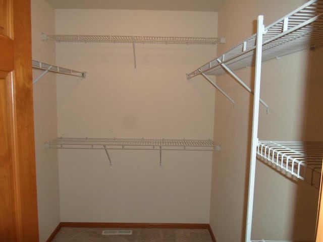 spacious closet with visible vents