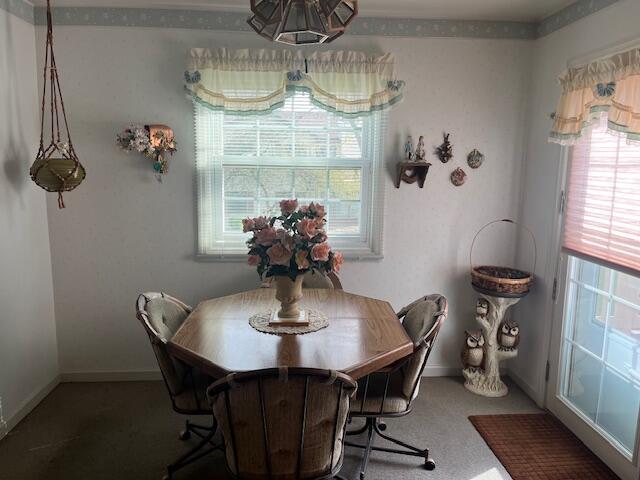 carpeted dining space featuring baseboards and a healthy amount of sunlight