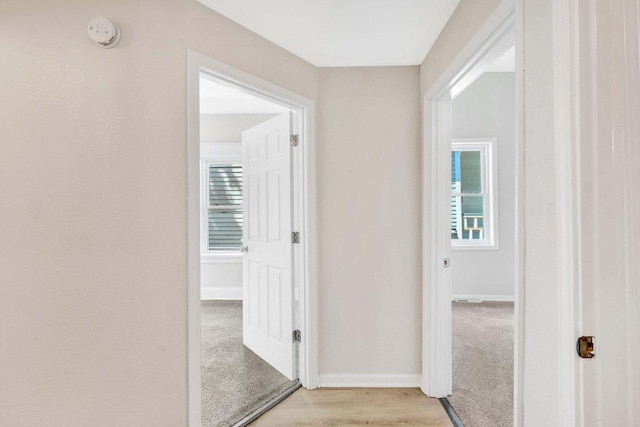 hall featuring baseboards and a wealth of natural light