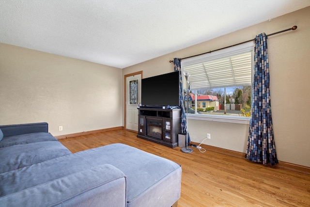 living room with baseboards and wood finished floors